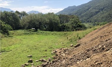 Venta de lote en Peñalisa - Suroeste Antioqueño