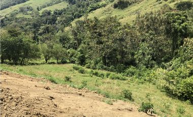 Venta de lote en Peñalisa - Suroeste Antioqueño