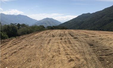Venta de lote en Peñalisa - Suroeste Antioqueño