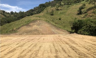 Venta de lote en Peñalisa - Suroeste Antioqueño