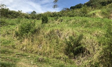 Venta de lote en Salgar - Suroeste Antioqueño