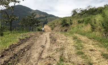 Venta de lote en Salgar - Suroeste Antioqueño