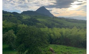 Venta Lote Venecia Suroeste de Antioquia