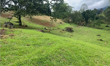 Venta Lote Venecia Suroeste de Antioquia