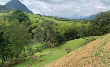 Venta Lote Venecia Suroeste de Antioquia