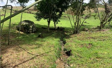 Venta Lote Venecia Suroeste de Antioquia