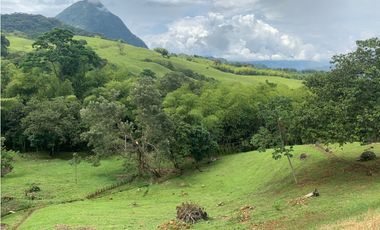 Venta Lote Venecia Suroeste de Antioquia