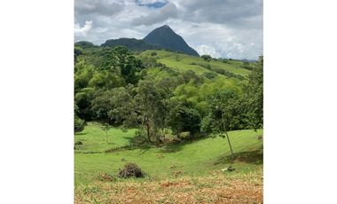 Venta Lote Venecia Suroeste de Antioquia