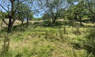 Venta de lote en Bolombolo - Suroeste Antioqueño
