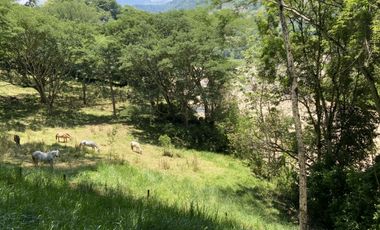 Venta de lote en Bolombolo - Suroeste Antioqueño