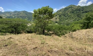 Venta de lote en Bolombolo - Suroeste Antioqueño