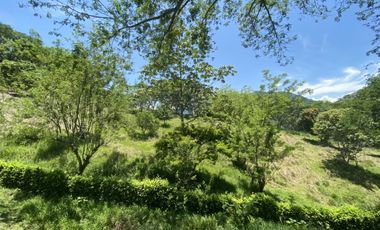 Venta de lote en Bolombolo - Suroeste Antioqueño