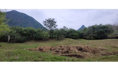 Venta finca en Venecia en el suroeste Antioqueño