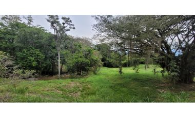 Venta finca en Venecia en el suroeste Antioqueño