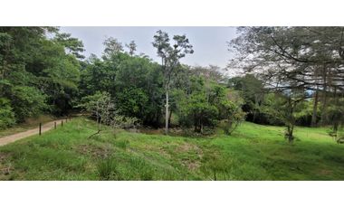 Venta finca en Venecia en el suroeste Antioqueño