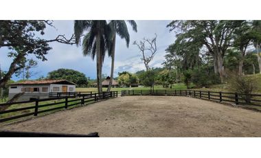 Venta finca en Venecia en el suroeste Antioqueño