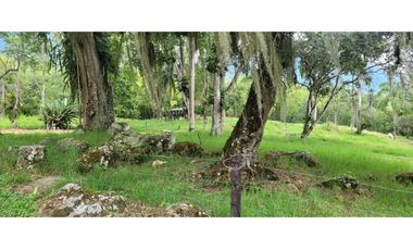 Venta finca en Venecia en el suroeste Antioqueño