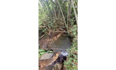 Venta finca en Venecia en el suroeste Antioqueño