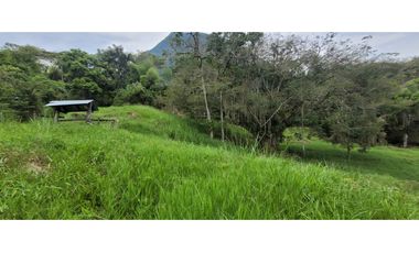 Venta finca en Venecia en el suroeste Antioqueño