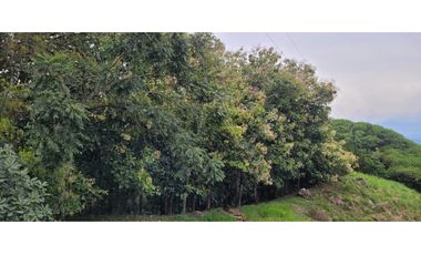 Venta finca en Venecia en el suroeste Antioqueño