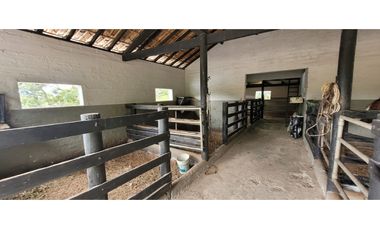 Venta finca en Venecia en el suroeste Antioqueño