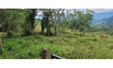 Venta finca en Venecia en el suroeste Antioqueño