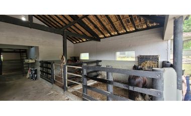 Venta finca en Venecia en el suroeste Antioqueño