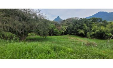 Venta finca en Venecia en el suroeste Antioqueño