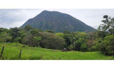 Venta finca en Venecia en el suroeste Antioqueño