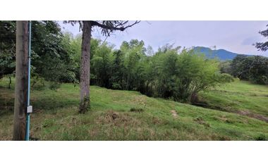 Venta finca en Venecia en el suroeste Antioqueño