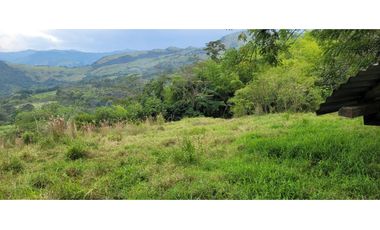 Venta finca en Venecia en el suroeste Antioqueño