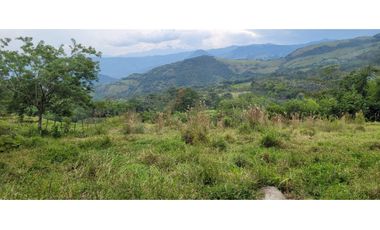 Venta finca en Venecia en el suroeste Antioqueño