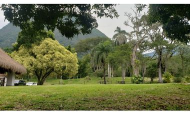 Venta finca en Venecia en el suroeste Antioqueño