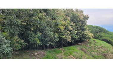 Venta finca en Venecia en el suroeste Antioqueño