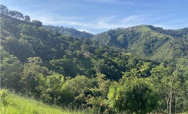 Venta finca cafetera Hispania