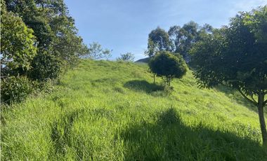 Venta finca cafetera Hispania
