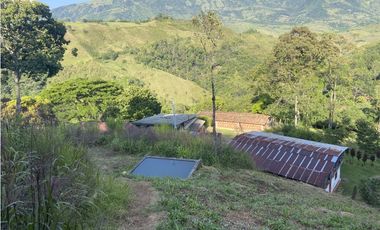 Venta finca cafetera Hispania