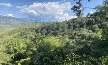 Venta finca cafetera Hispania