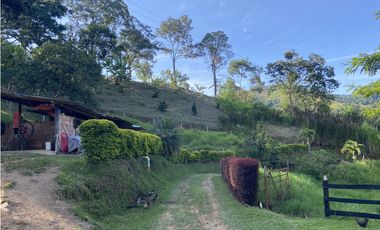 Venta finca cafetera Hispania