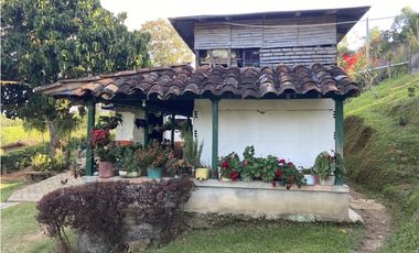 Venta finca cafetera Hispania
