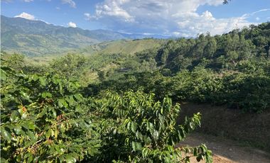 Venta finca cafetera Hispania
