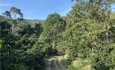 Venta finca cafetera Hispania