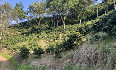 Venta finca cafetera Hispania