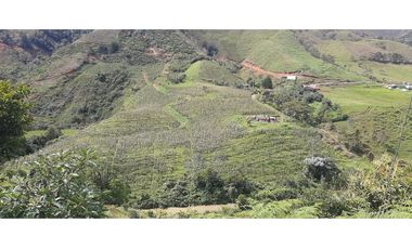 Venta finca en Urrao Suroeste Antioqueno