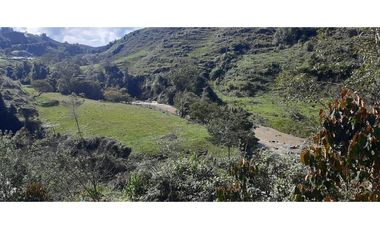 Venta finca en Urrao Suroeste Antioqueno