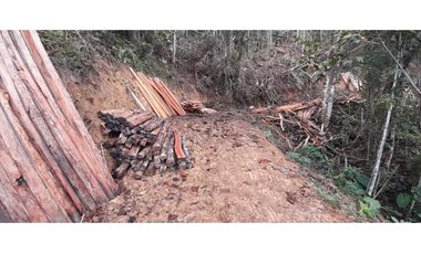 Venta finca en Urrao Suroeste Antioqueno