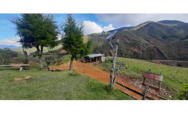 Venta finca en Urrao Suroeste Antioqueno