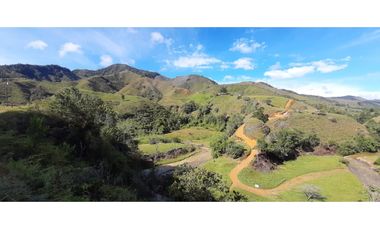 Venta finca en Urrao Suroeste Antioqueno