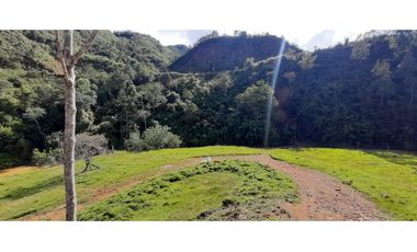 Venta finca en Urrao Suroeste Antioqueno
