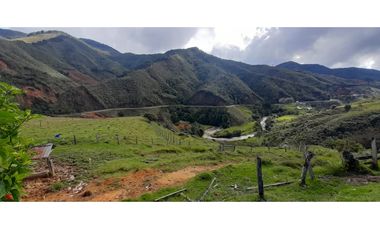 Venta finca en Urrao Suroeste Antioqueno